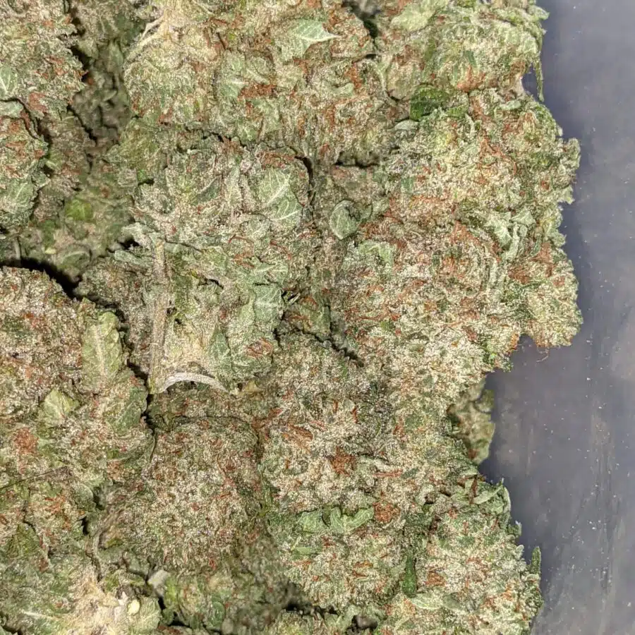 CHEMO KUSH 7 I Chemo Kush - *Deal of the Day*