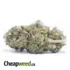 Chemo Kush - *Deal of the Day*