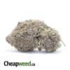 Durban Poison - *Deal of the Day*