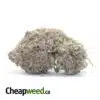 Durban Poison - *Deal of the Day*