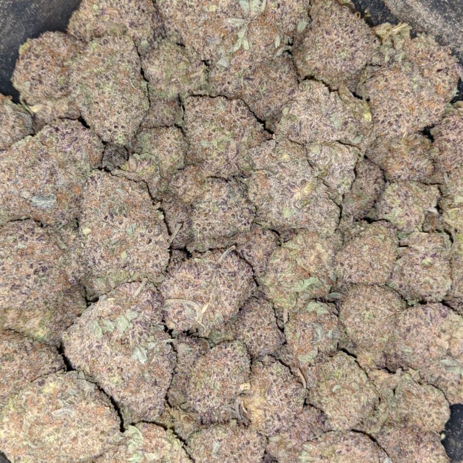 Durban Poison DOD4 I Durban Poison - *Deal of the Day*