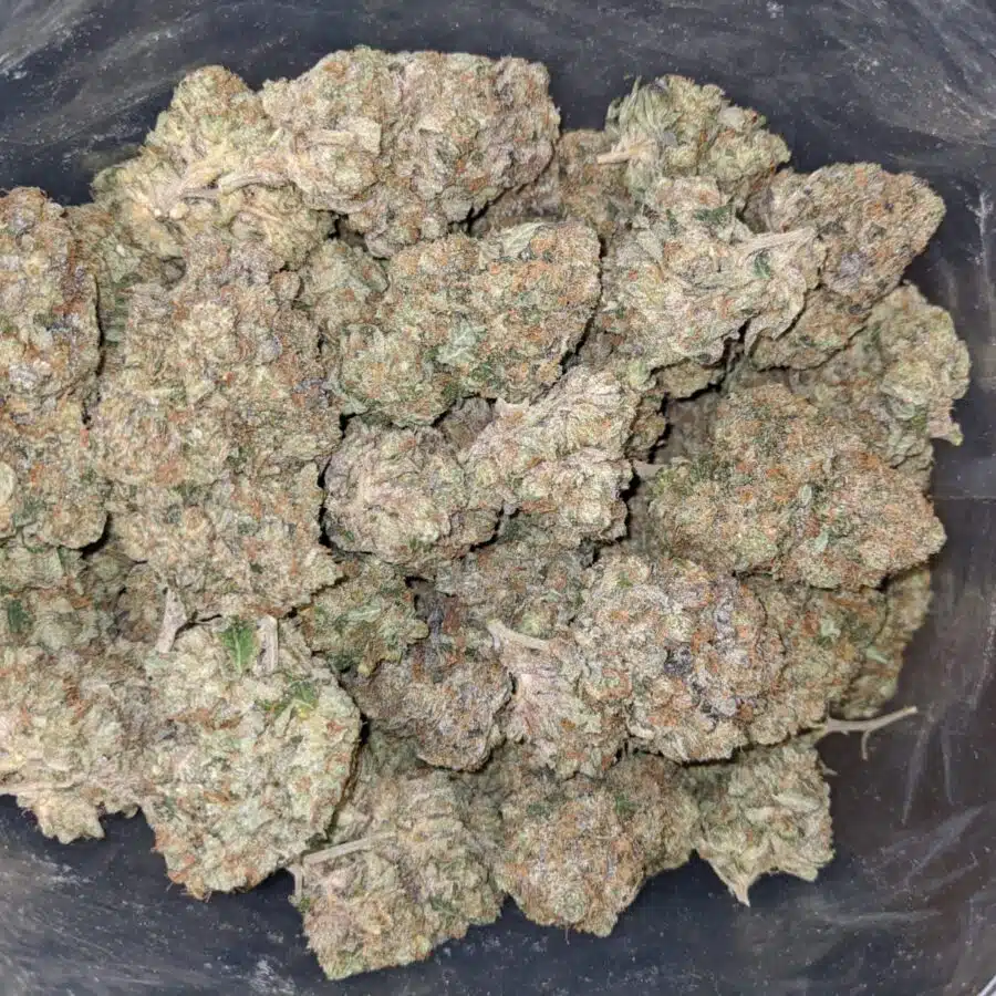 EL MURETTE 1 1 I $79 Oz - El Chapo