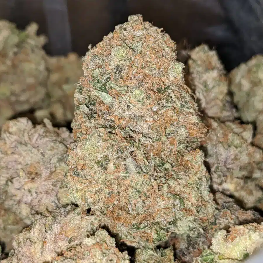 EL MURETTE 2 1 I $79 Oz - El Chapo