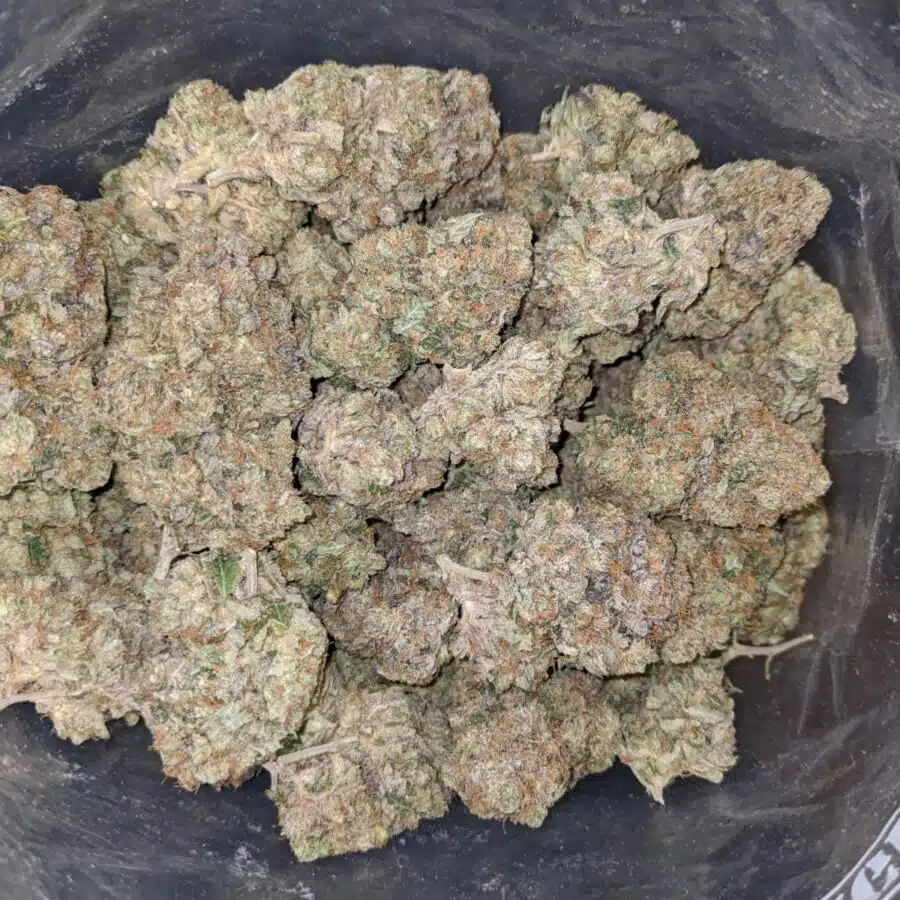 EL MURETTE 3 1 I $79 Oz - El Chapo