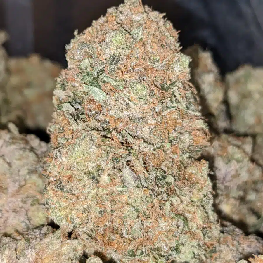 EL MURETTE 4 1 I $79 Oz - El Chapo
