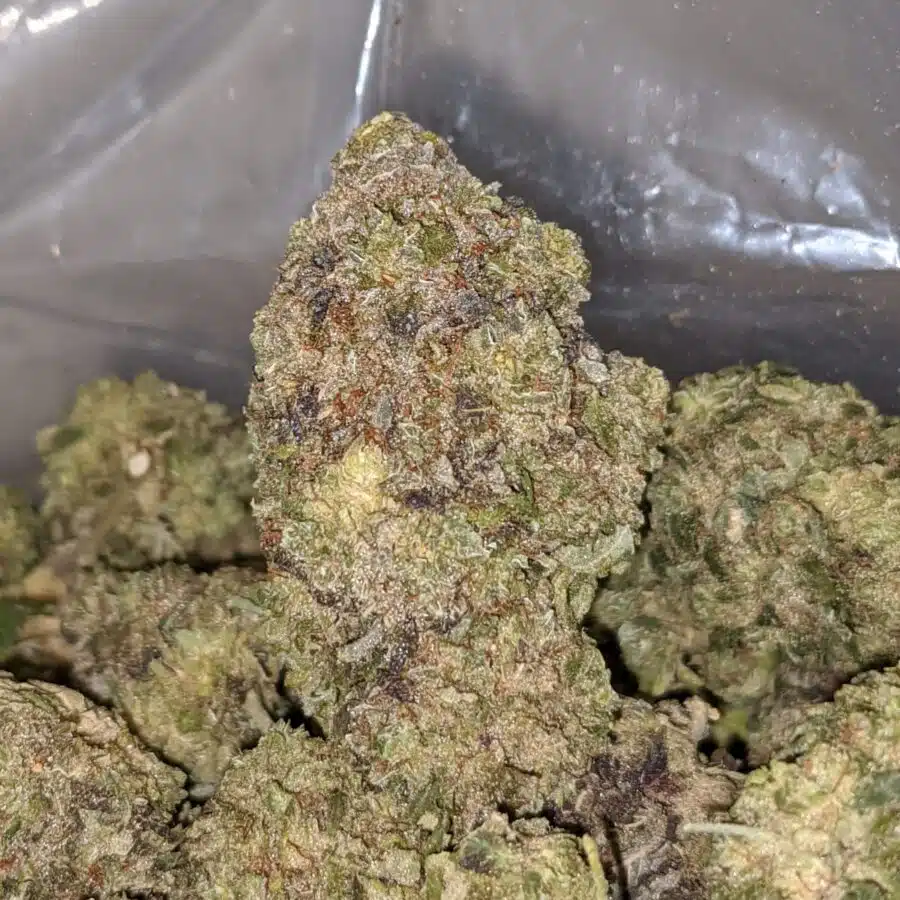 FRUIT ROLL UP 1 I Fruit Roll Up - *Deal Of The Day*