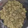 Fruit Roll Up - *Deal Of The Day*