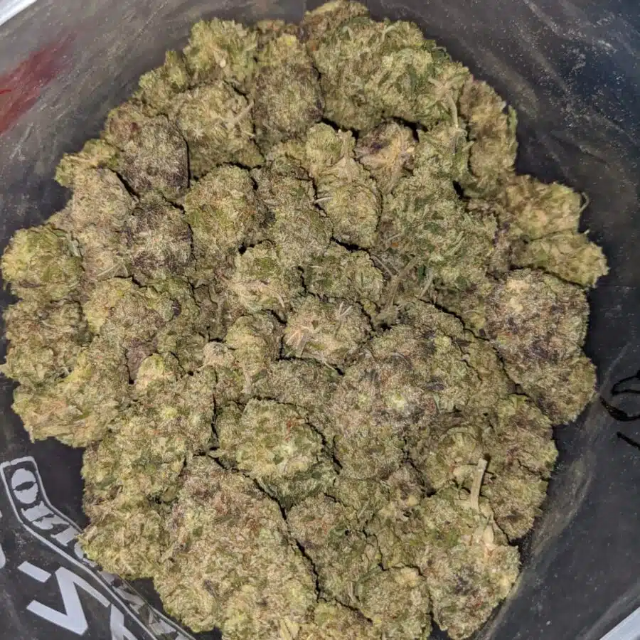 Fruit Roll Up - *Deal Of The Day*