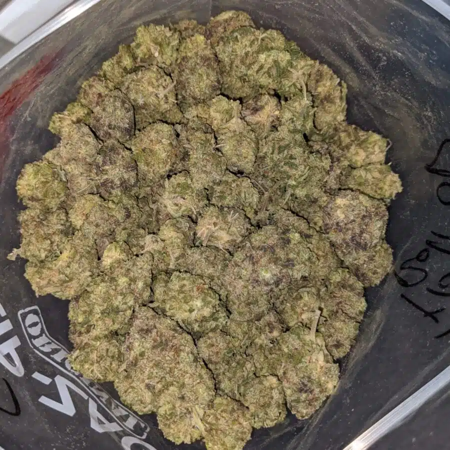 FRUIT ROLL UP 4 I Fruit Roll Up - *Deal Of The Day*