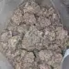 $79 Oz - God's Gift