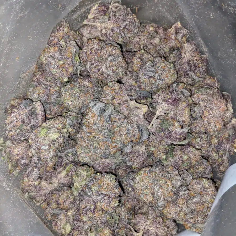GOD GIFT 3 2 I $79 Oz - God's Gift
