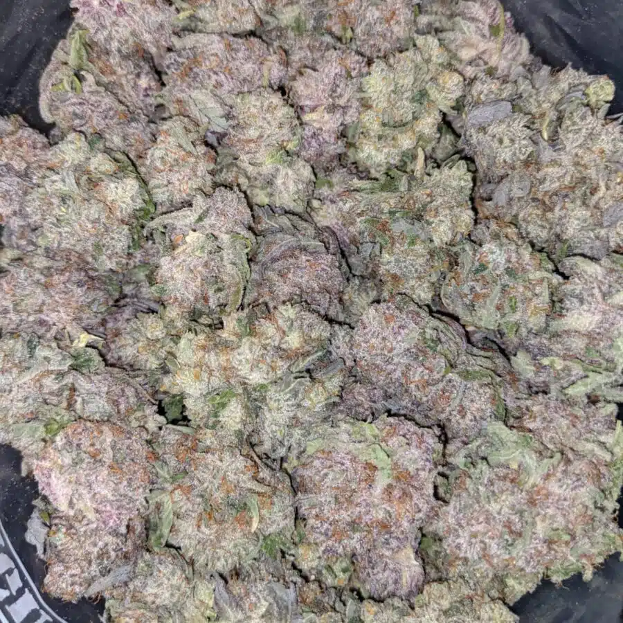 GRAND DADDY PURPLE 5 I $119 Oz - Grand Daddy Purple