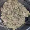 $119 Oz - Grand Daddy Purple