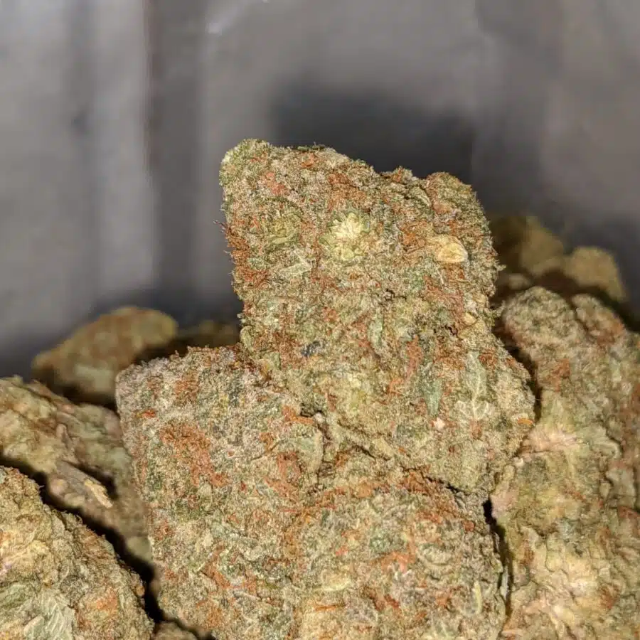 HAWAIIAN HAZE BS 1 I Hawaiian Haze Bulk Special