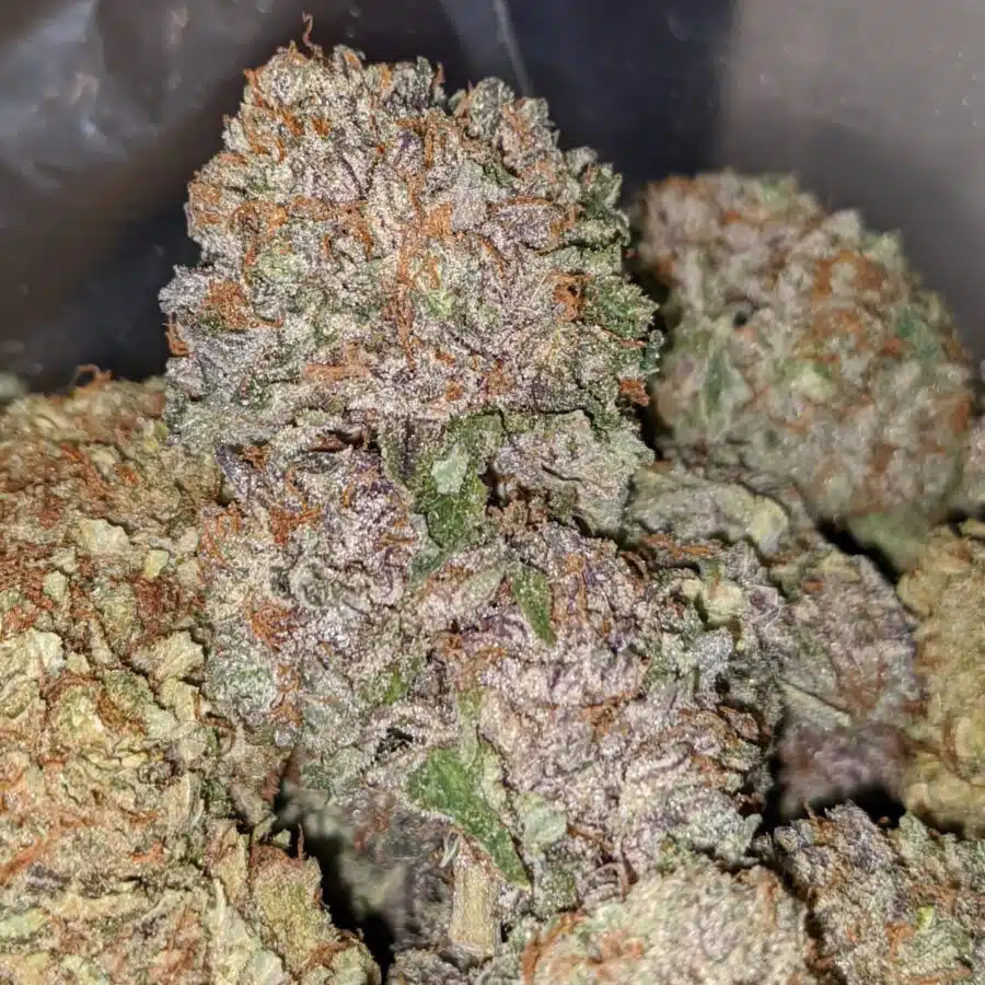 ICE KUSH 3 I $49 Oz - Ice Kush