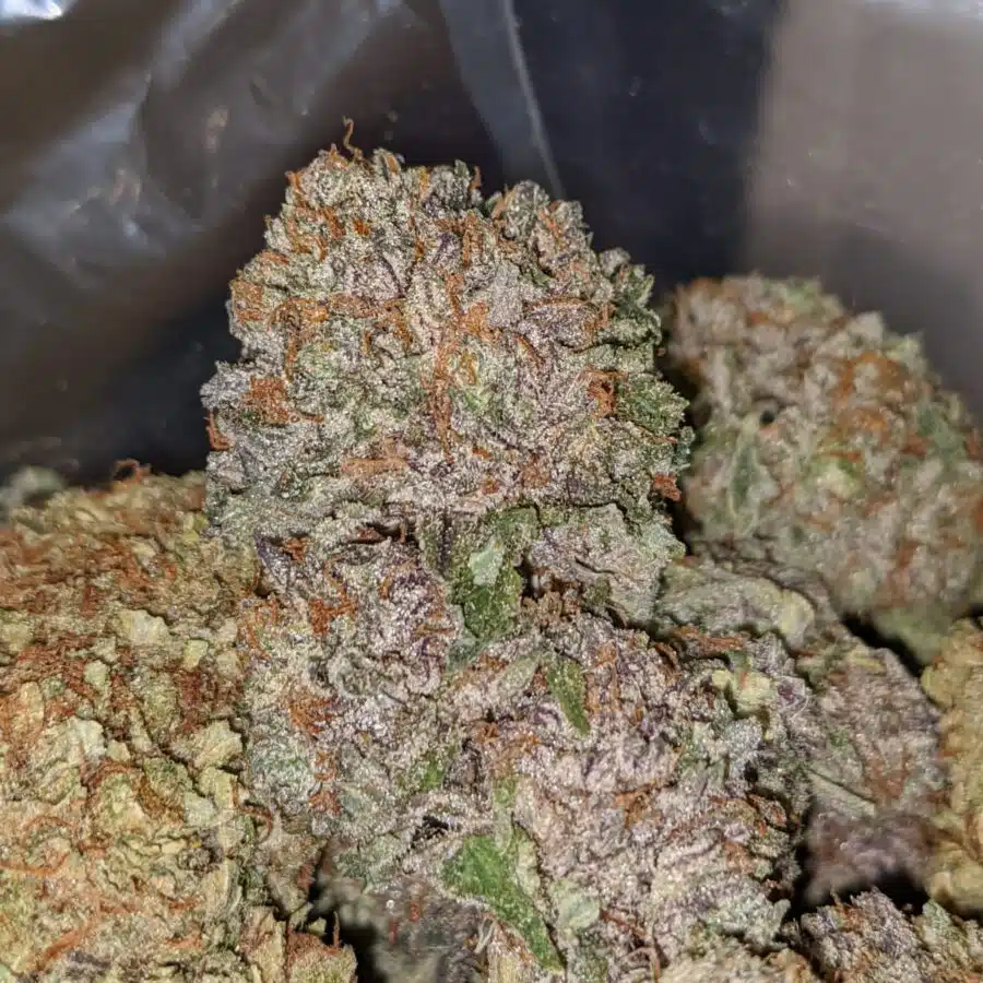 $49 Oz - Ice Kush
