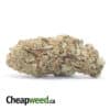 Jetfuel Bulk Special