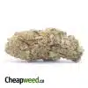 Jetfuel Bulk Special