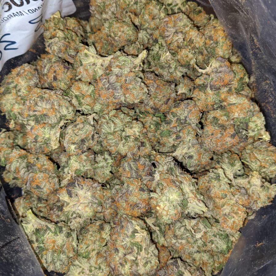 KING KUSH 3 2 I King's Kush Bulk Special