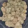 Lemon Kush