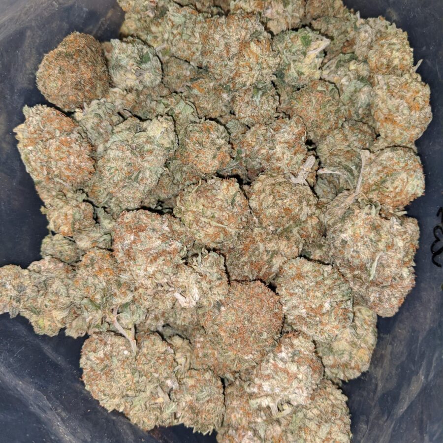 Lemon Kush