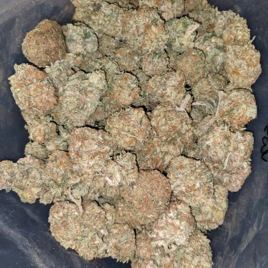 Lemon Kush