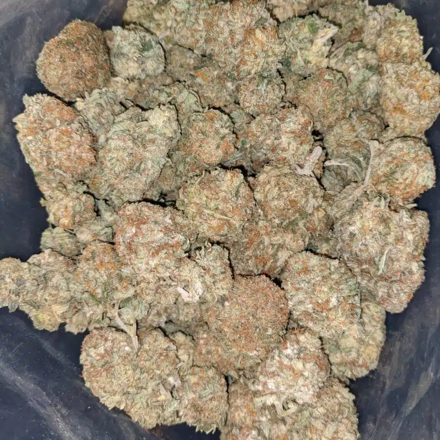 Alternative view of Lemon Kush