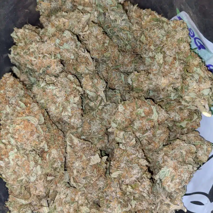 LEMON THAI BULK SPECIAL 2 I $79 Oz - Lemon Thai
