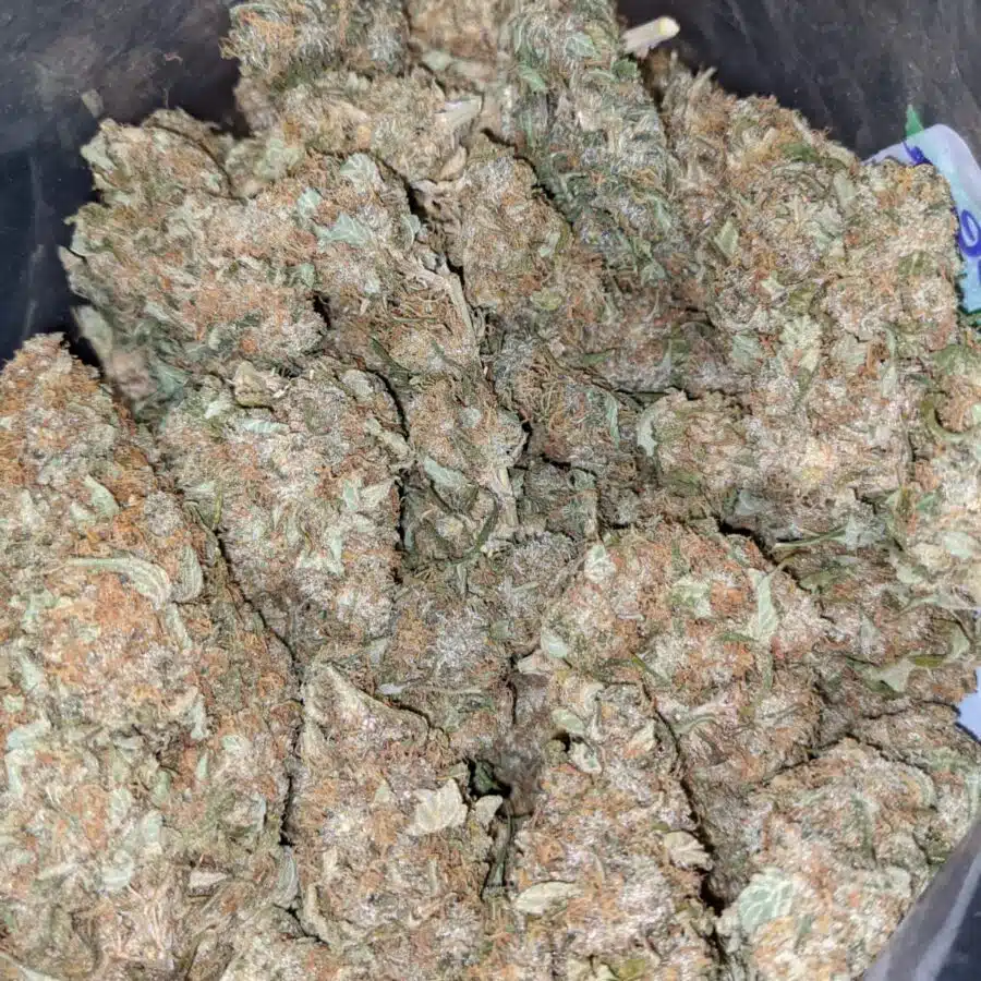 LEMON THAI BULK SPECIAL 3 I $79 Oz - Lemon Thai