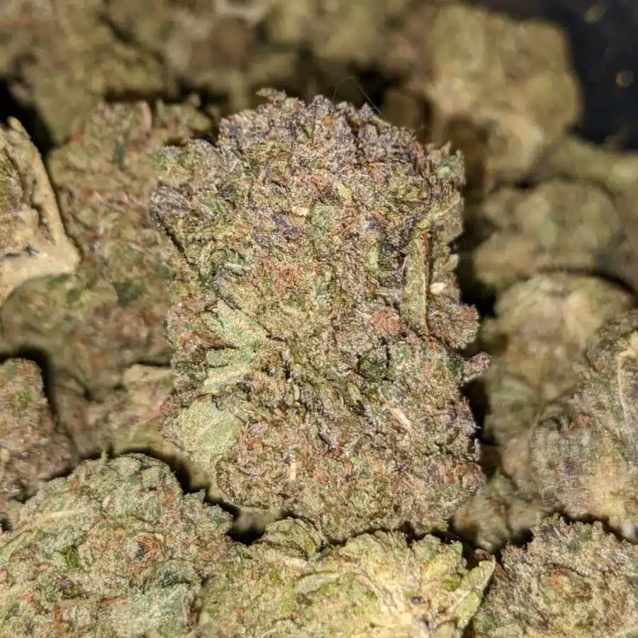 MKU 1 I $59 Oz - Mk Ultra
