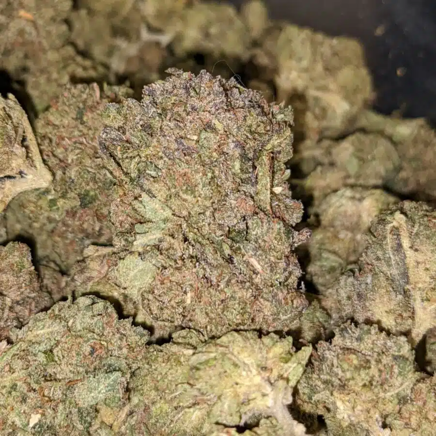 MKU 2 I $59 Oz - Mk Ultra