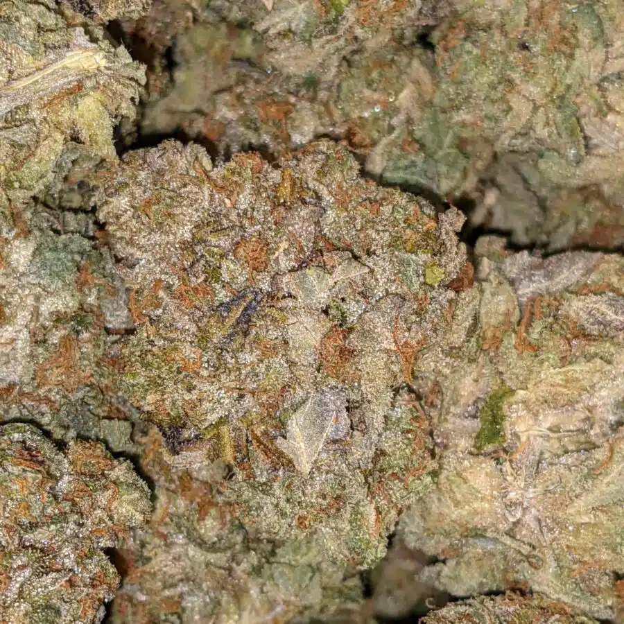 OG WRECK 3 I $139 Oz - OG Wreck