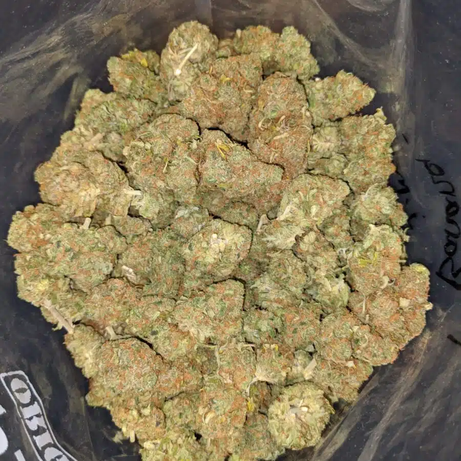 PINEAPPLE BANANA 2 I Pineapple Banana - *Deal of the Day*