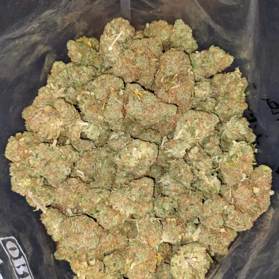PINEAPPLE BANANA 3 I Pineapple Banana - *Deal of the Day*