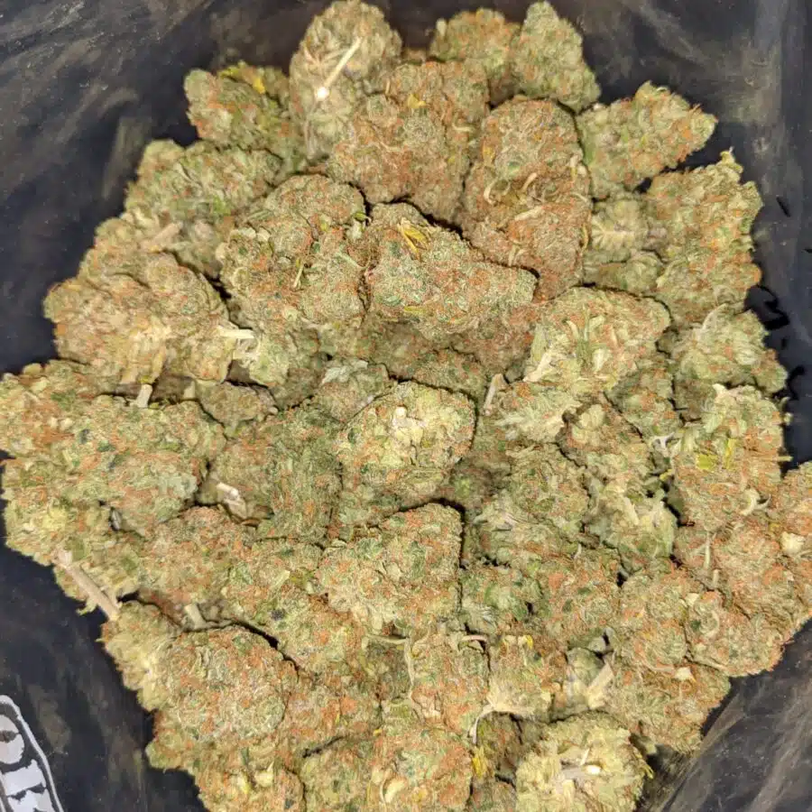 PINEAPPLE BANANA 4 I Pineapple Banana - *Deal of the Day*