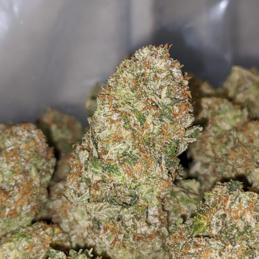 Platinum Bubba - Image 4