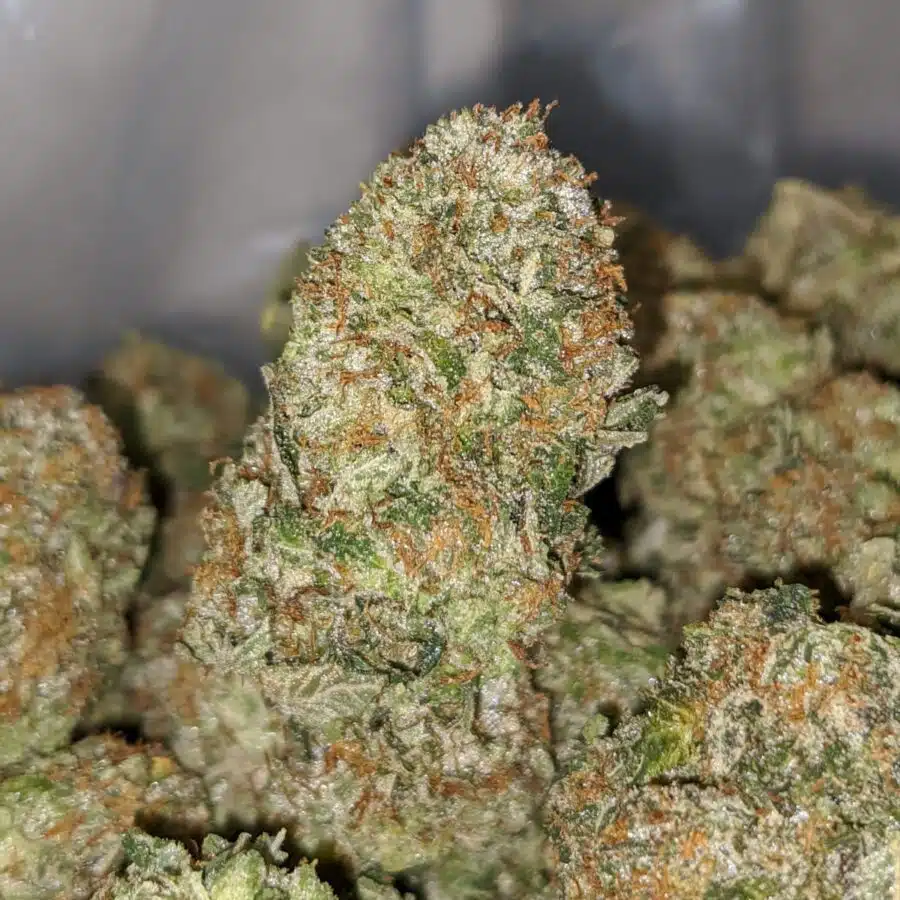 PLATINUM BUBBA DOD 2 I Platinum Bubba