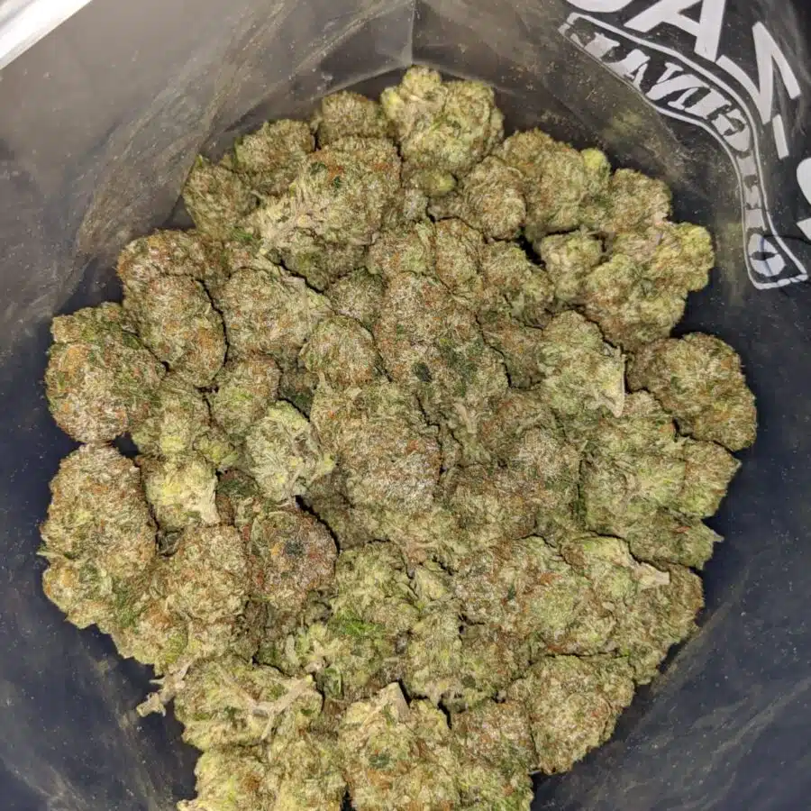 PLATINUM BUBBA DOD 3 I Platinum Bubba