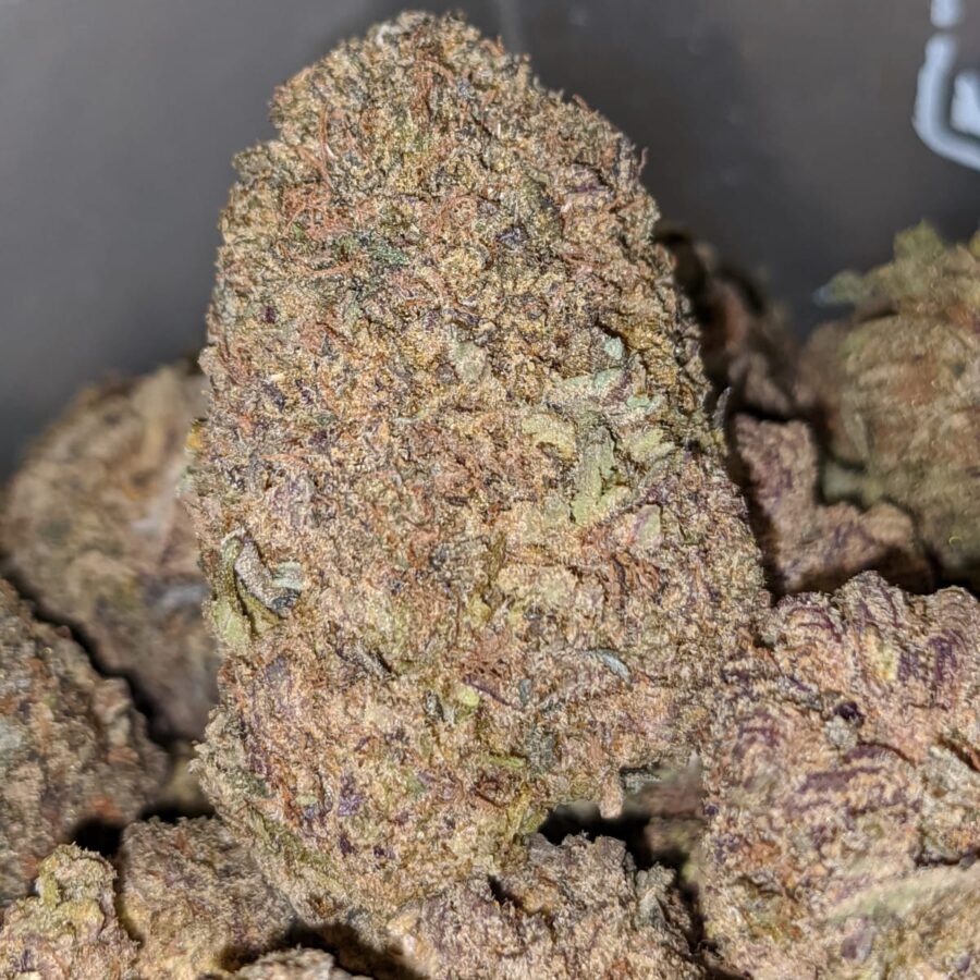 PURPLE GOD BS 2 I Purple Goddess Bulk Special