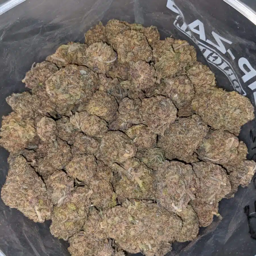 PURPLE GOD BS 3 I Purple Goddess Bulk Special