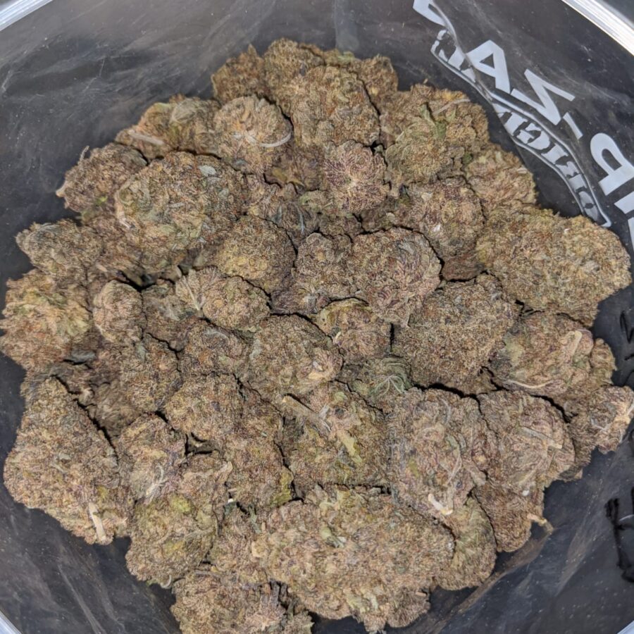 PURPLE GOD BS 4 I Purple Goddess Bulk Special
