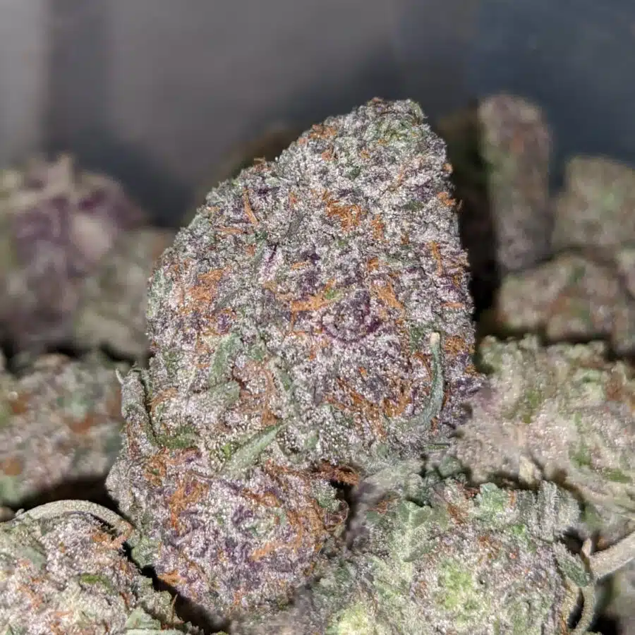 Purple Moon Rocks 1 I $99 oz - Purple Moonrock