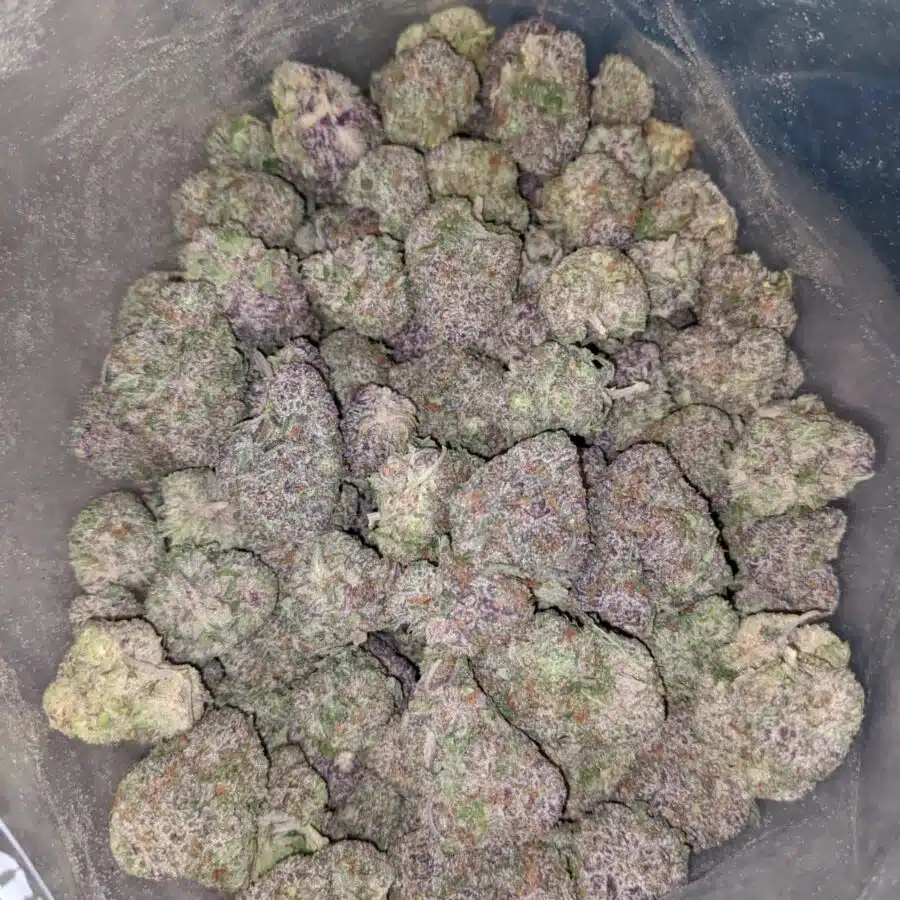 Purple Moon Rocks 4 I $99 oz - Purple Moonrock