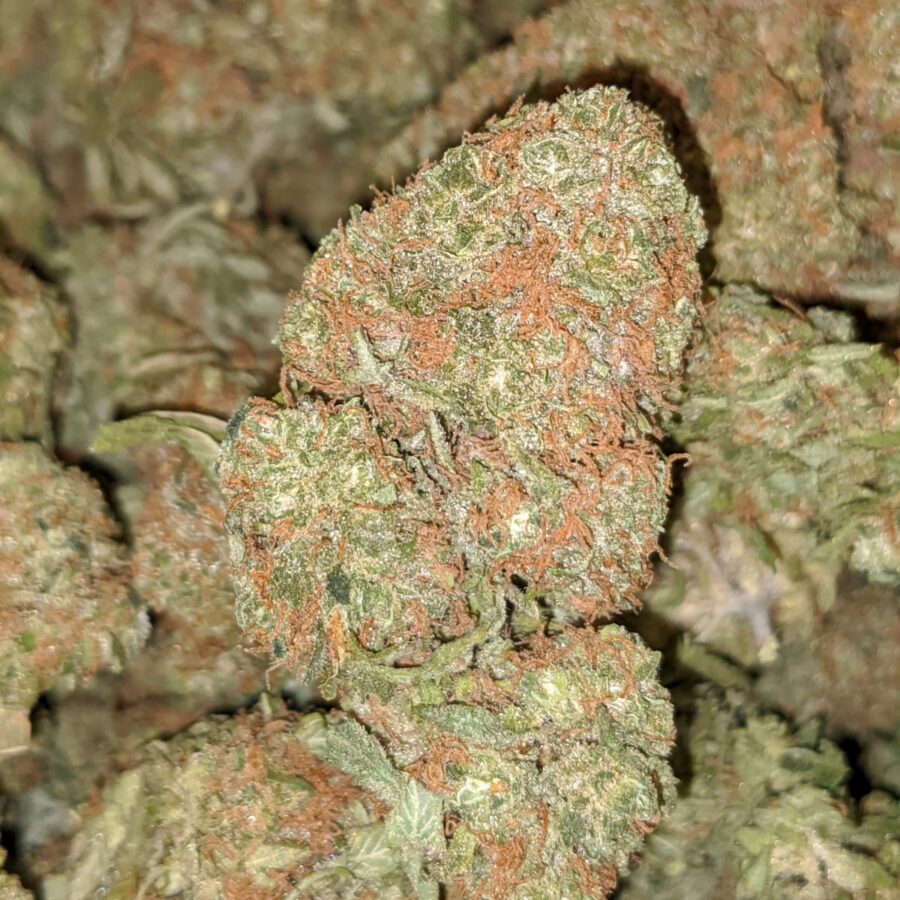 SWEET DIESEL 1 I Sweet Diesel Deal of the Day