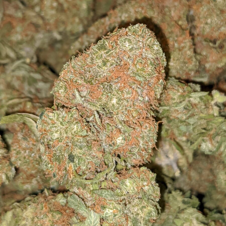 SWEET DIESEL 2 I Sweet Diesel Deal of the Day