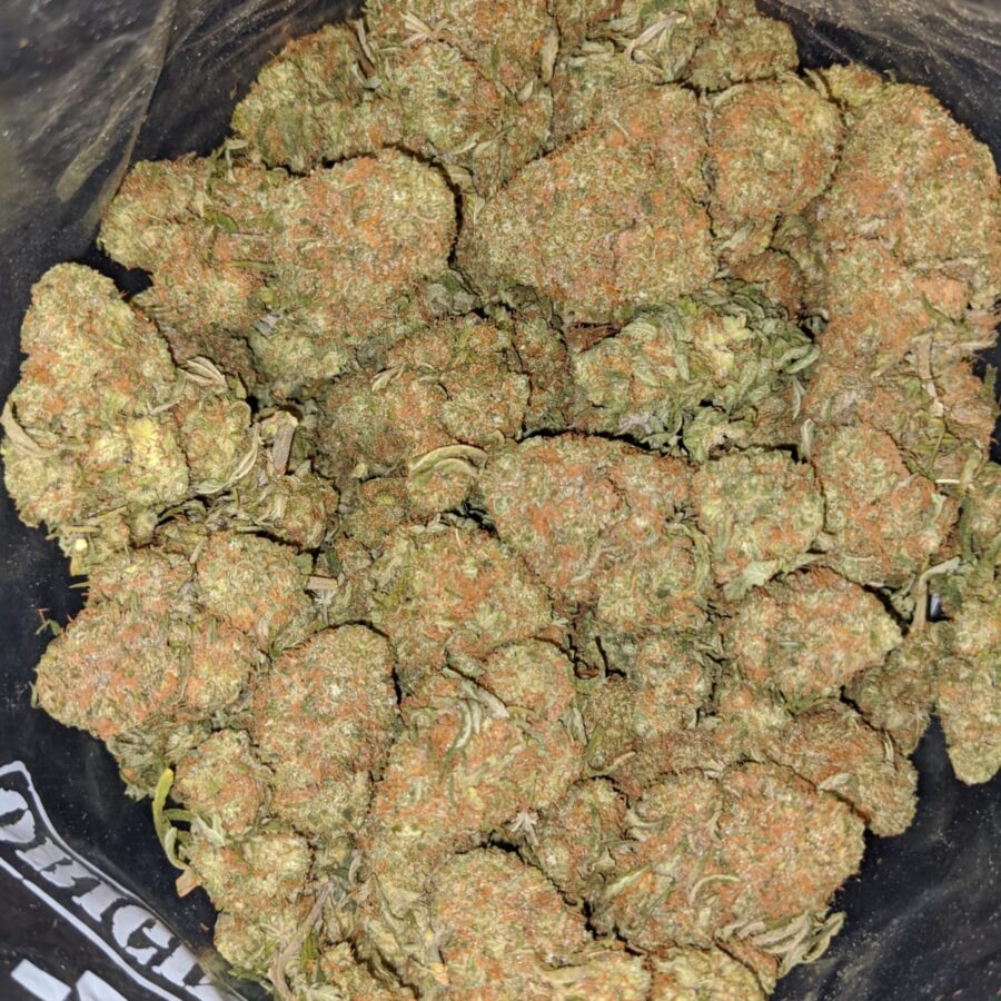 SWEET DIESEL 5 I Sweet Diesel Deal of the Day