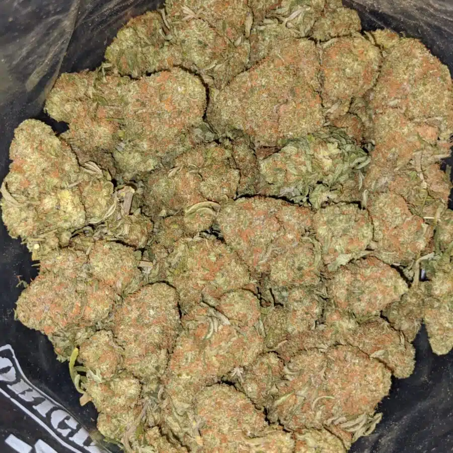 SWEET DIESEL 5 I Sweet Diesel Deal of the Day