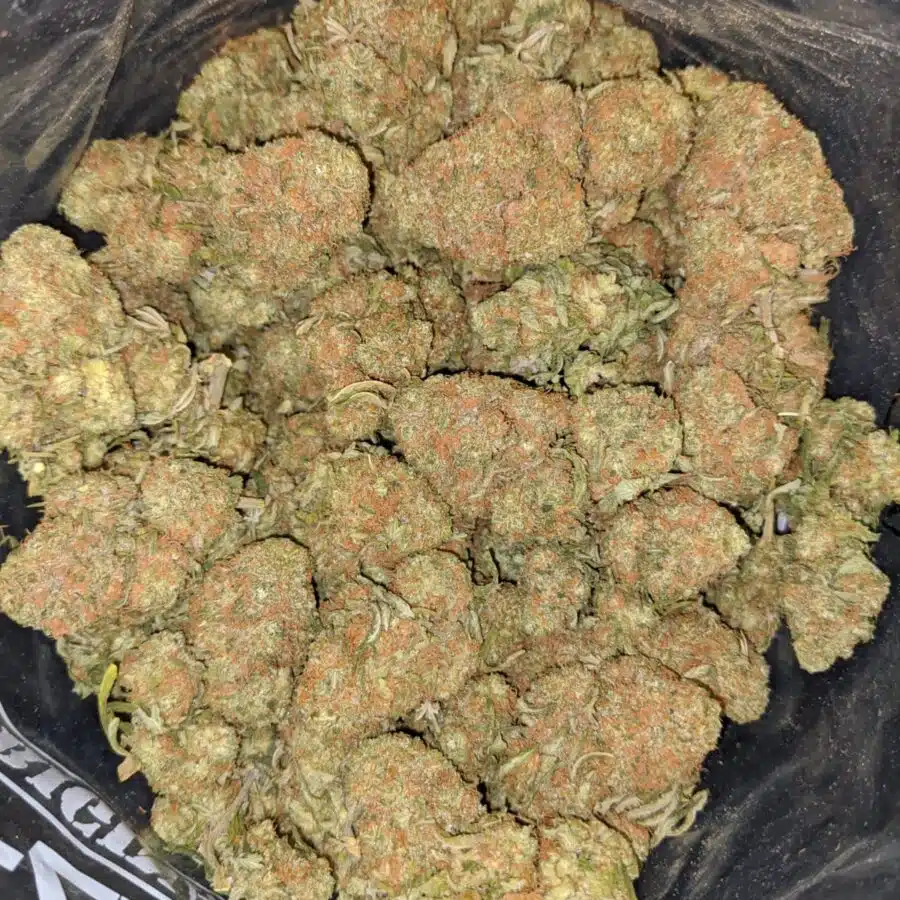 SWEET DIESEL 6 I Sweet Diesel Deal of the Day