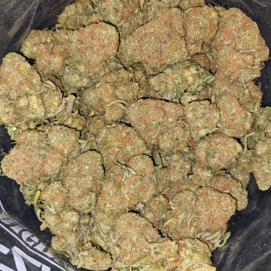 SWEET DIESEL 7 I Sweet Diesel Deal of the Day