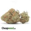 Sweet Diesel Deal of the Day